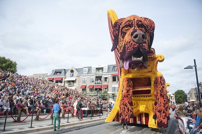 Bloemencorso-Zundert-2013-le-hoi-hoa-lon-nhat-the-gioi-o-Ha-Lan